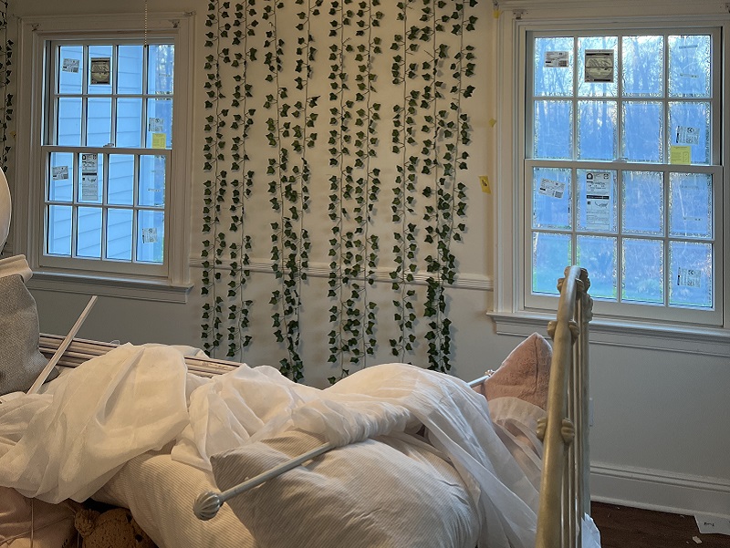 Window Solutions Plus